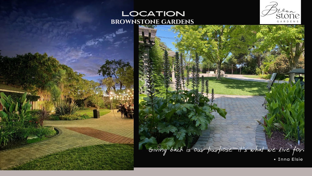 GENERAL ENTRANCE (Donation): ATTEND SUITS AND SNEAKERS – PROCEEDS SUPPORT CHARITY