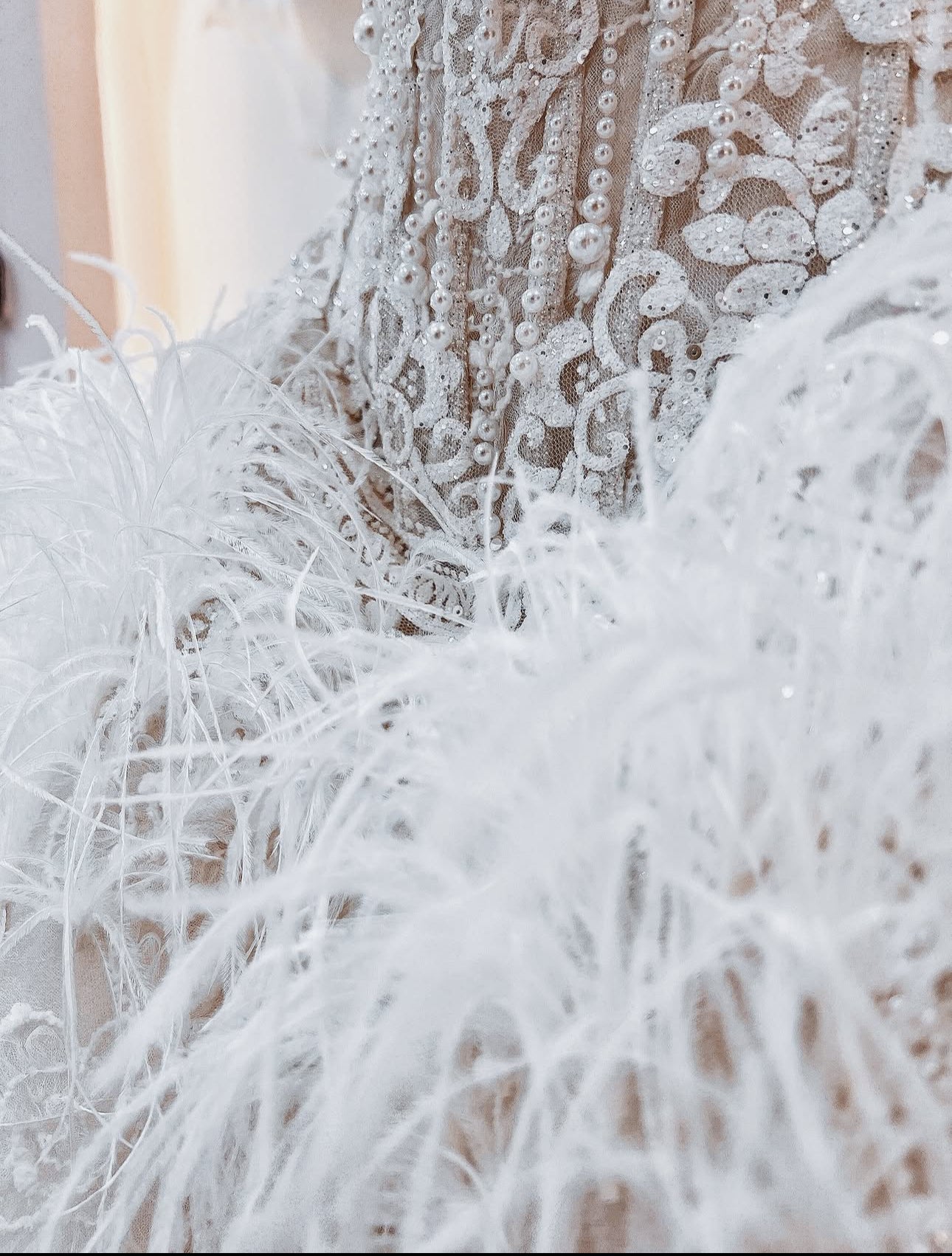 DANIA Feathered Lace Royal Ball Gown